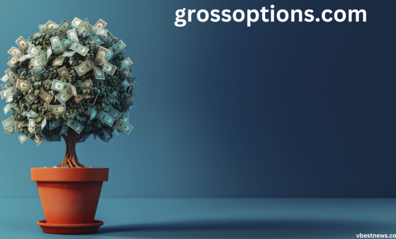 grossoptions.com