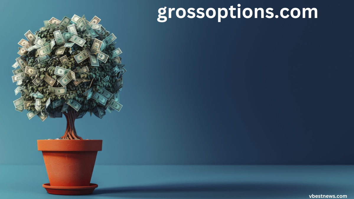 grossoptions.com