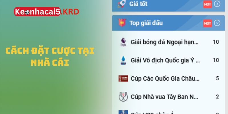 Cách đặt cược tại nhà cái